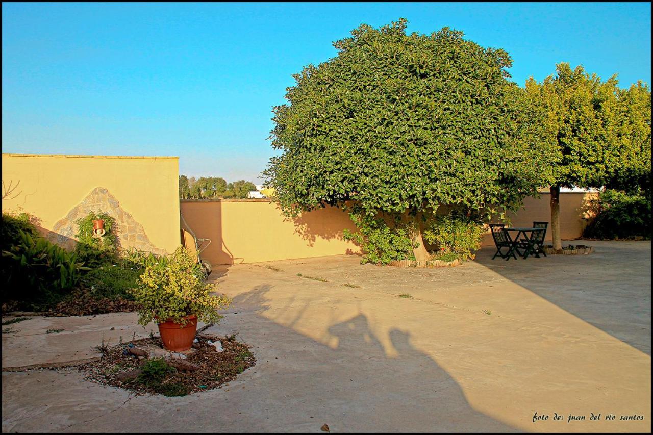 Mi Oasis Villa Conil De La Frontera Exterior photo